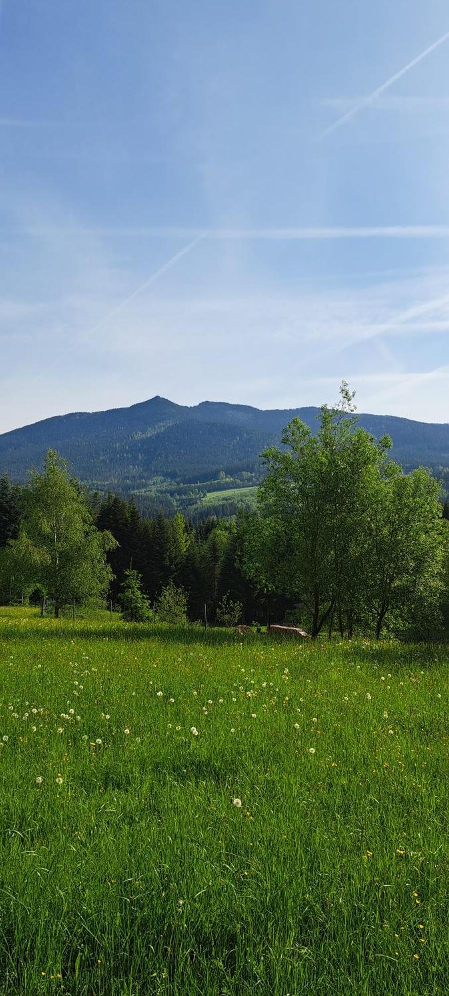Osserapartment Schwarzenbach  Kültér fotó